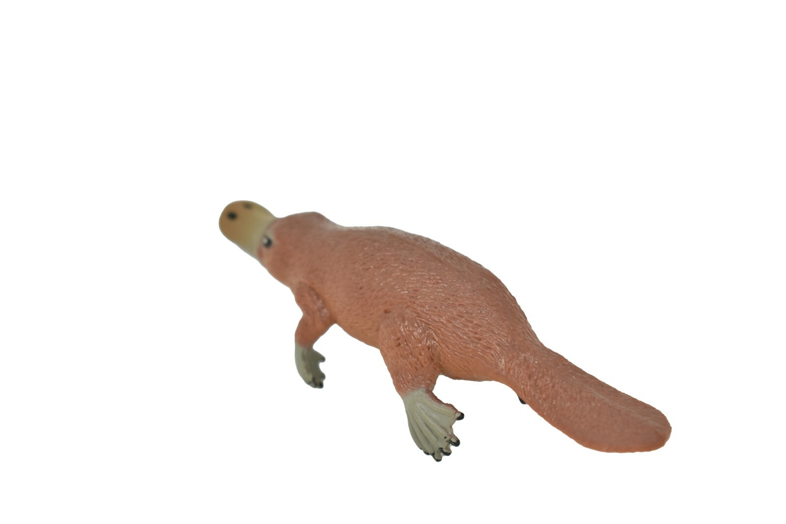 Platypus, ~ Very Nice Plastic Replica 3 1/2″ ~ F1091-B170