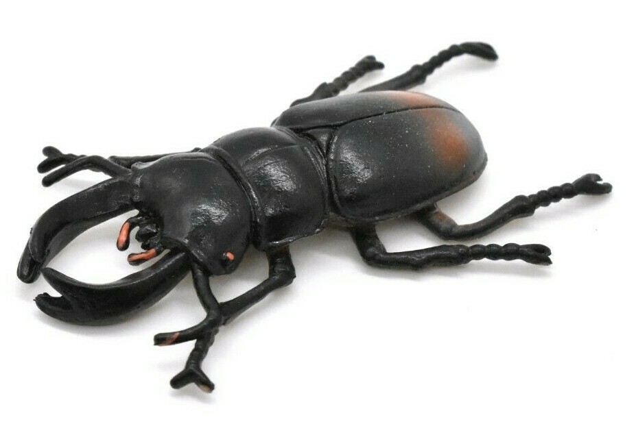 Stag Beetle, Very Nice Rubber Reproduction 2 1/2″ CWG06 B13