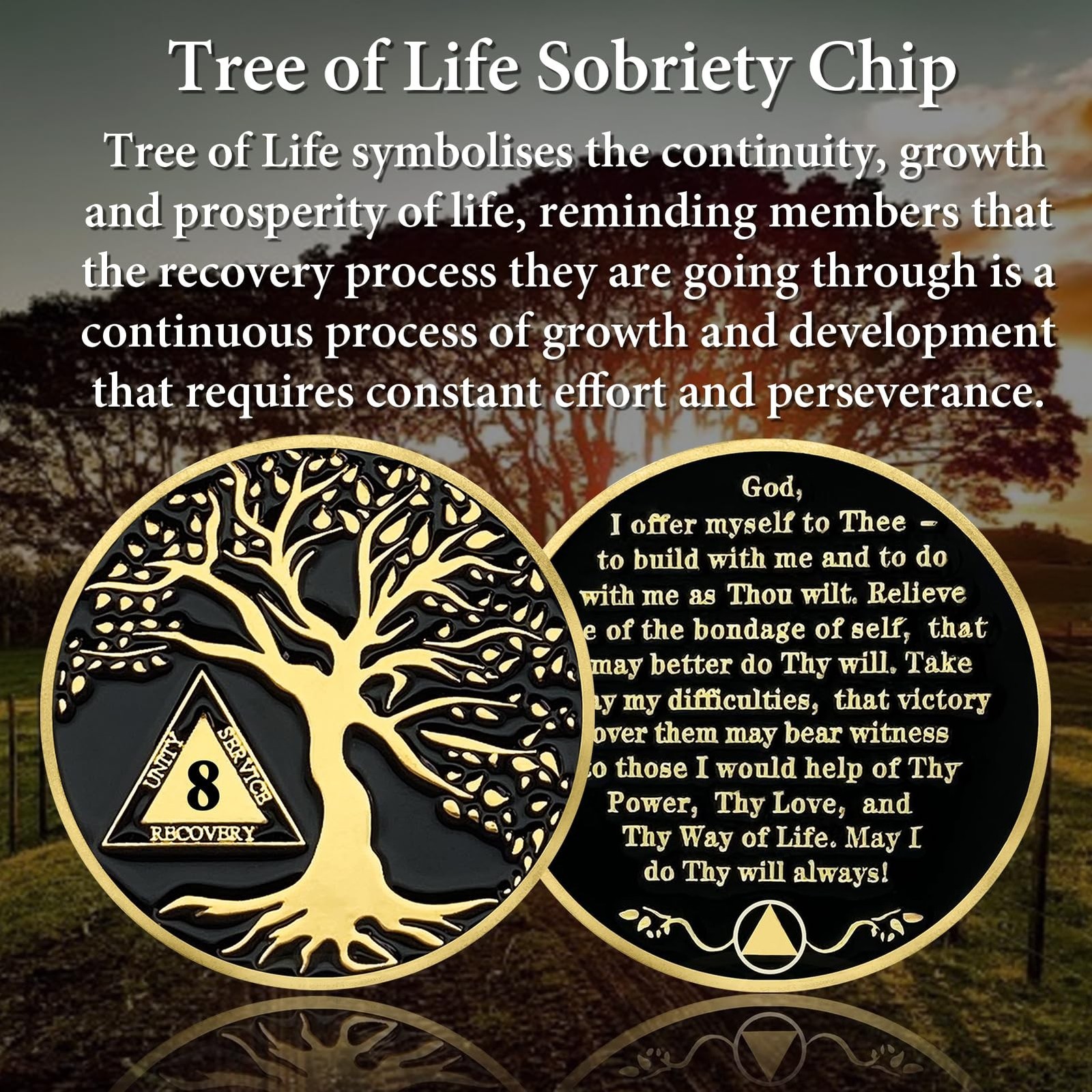 8 Year Sobriety Coins, Tree of Life 8 Year AA Medallions – AA Sobriety Chips …