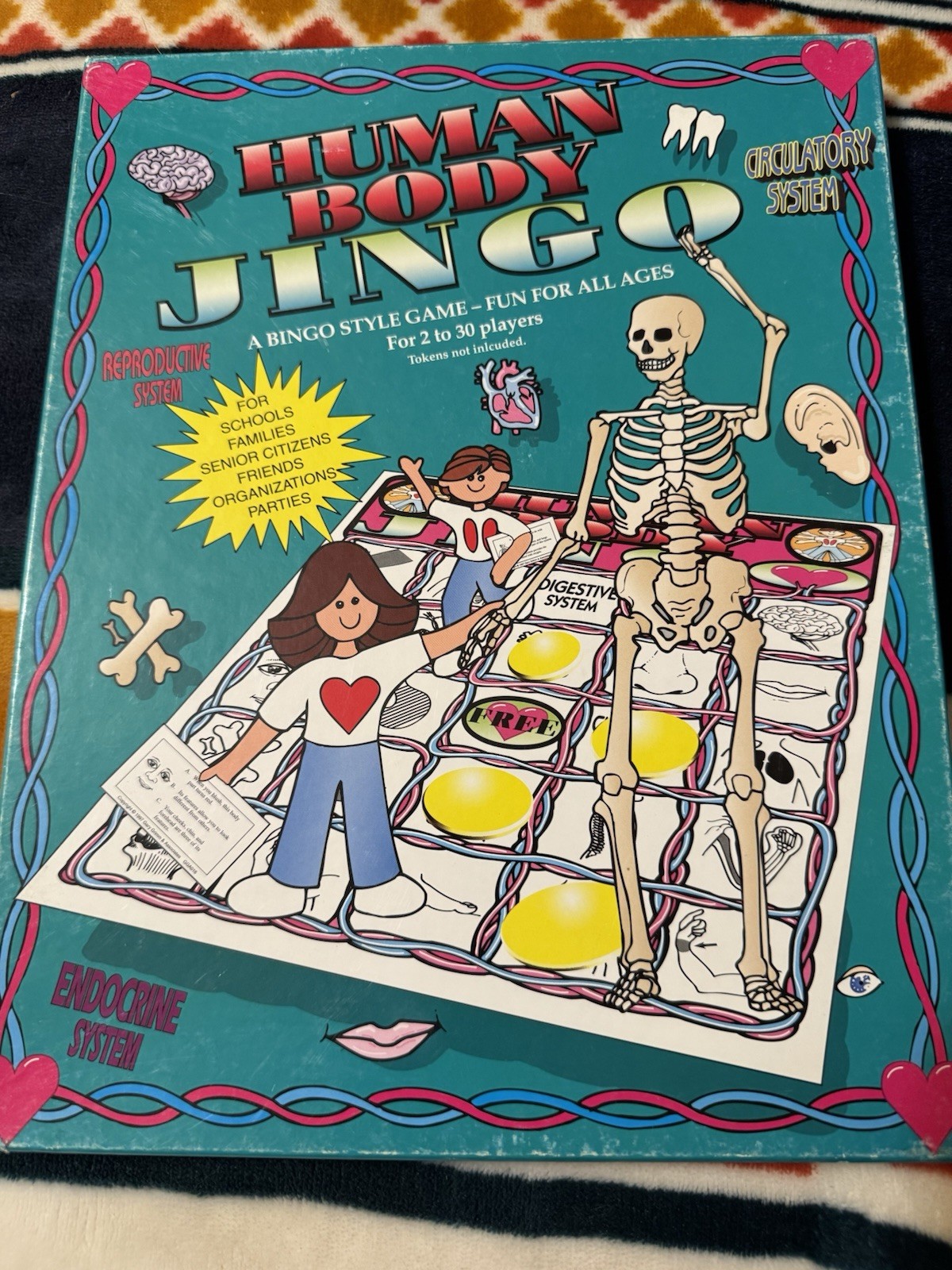 JINGO Human Body Bingo Educational Game by Gary Grimm School Homescho