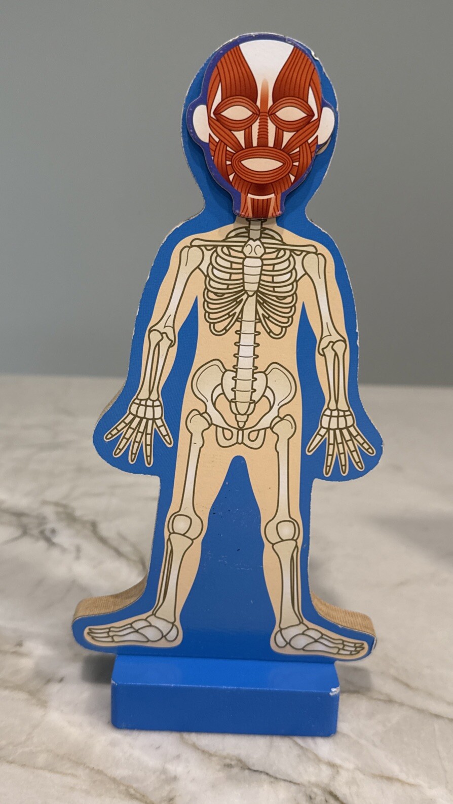 Melissa & Doug Magnetic Human Body Anatomy Play Set 23 Magnetic Pieces & Tray