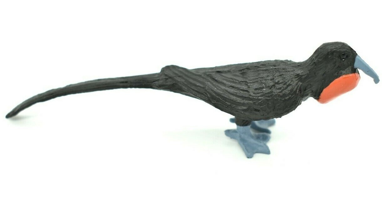 Frigatebird, Galapagos Islands Plastic Plastic Replica 3 1/2″ – F1526 B150