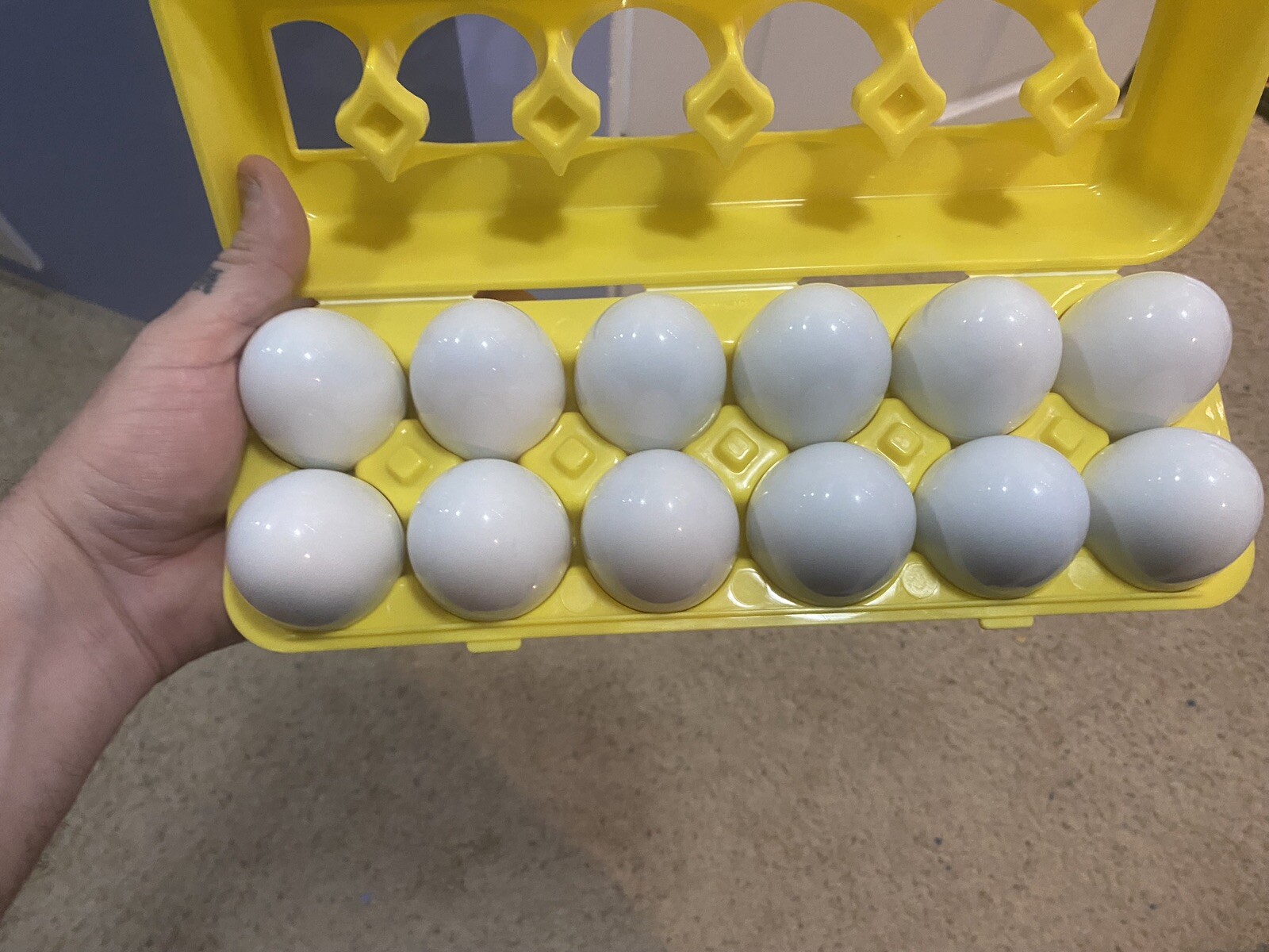 Kidzlane Match And Count egg carton toy for toddlers educational learning toy