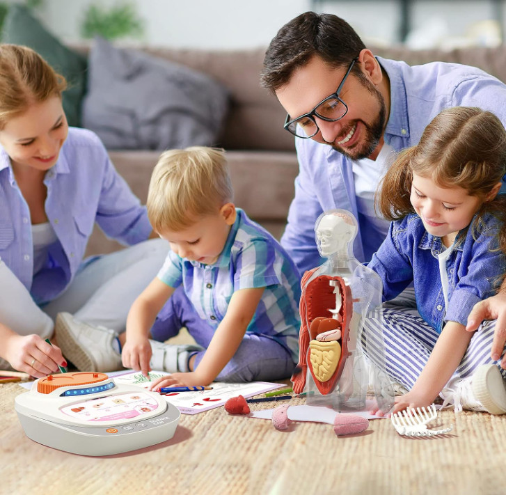 Human Body Model Educational Toy for Kid Interactive Human Anatomy Talking Model