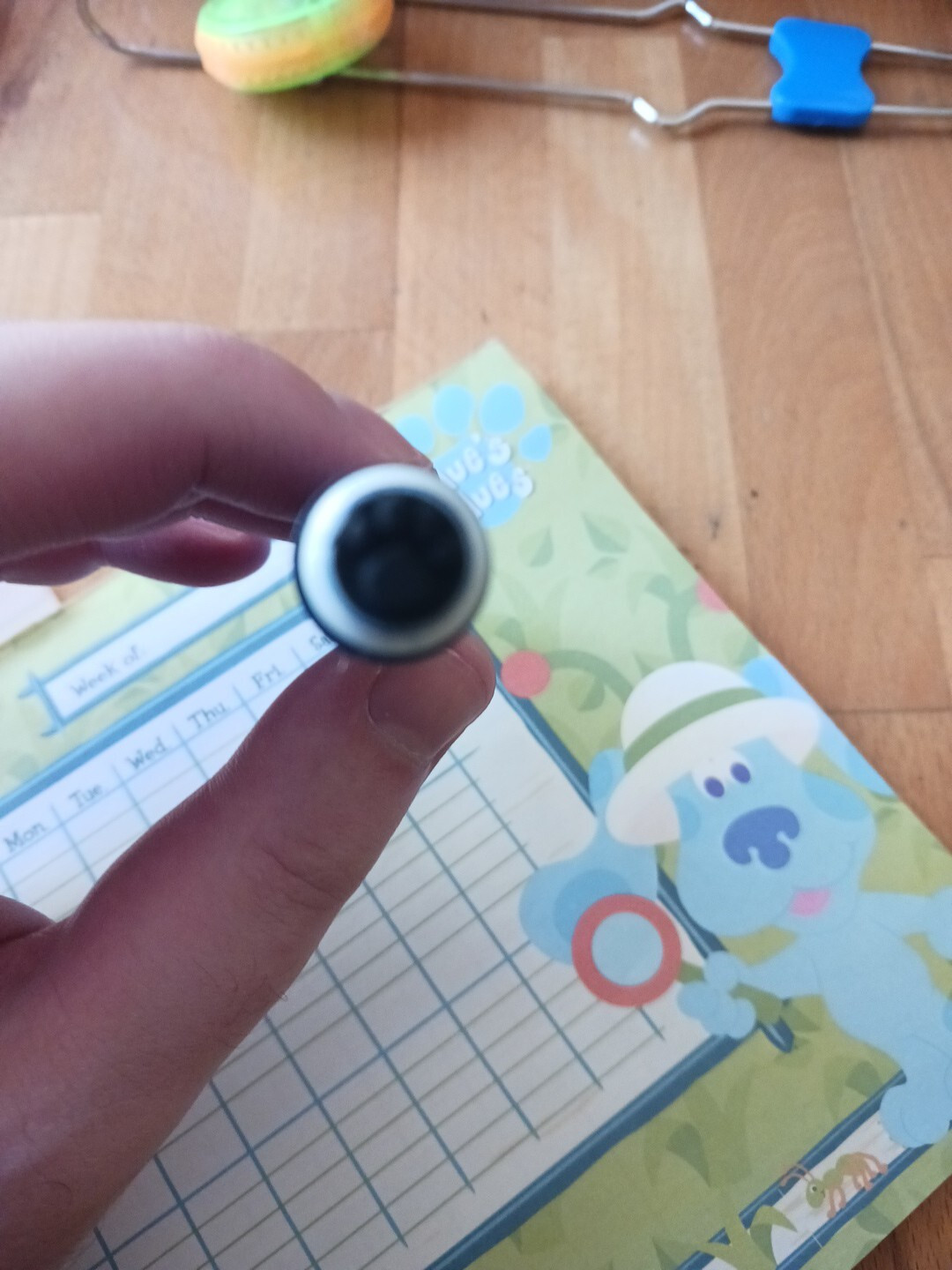 Blue Clues Chart Good Condition