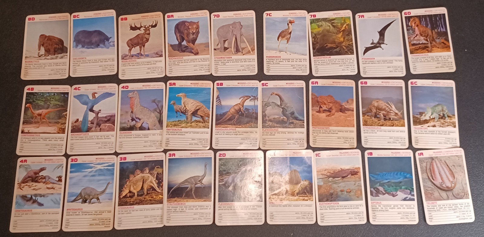 2 Sets / Vtg 60+ DINOSAURS Flash Cards Identification Cards Learning Teaching -Z