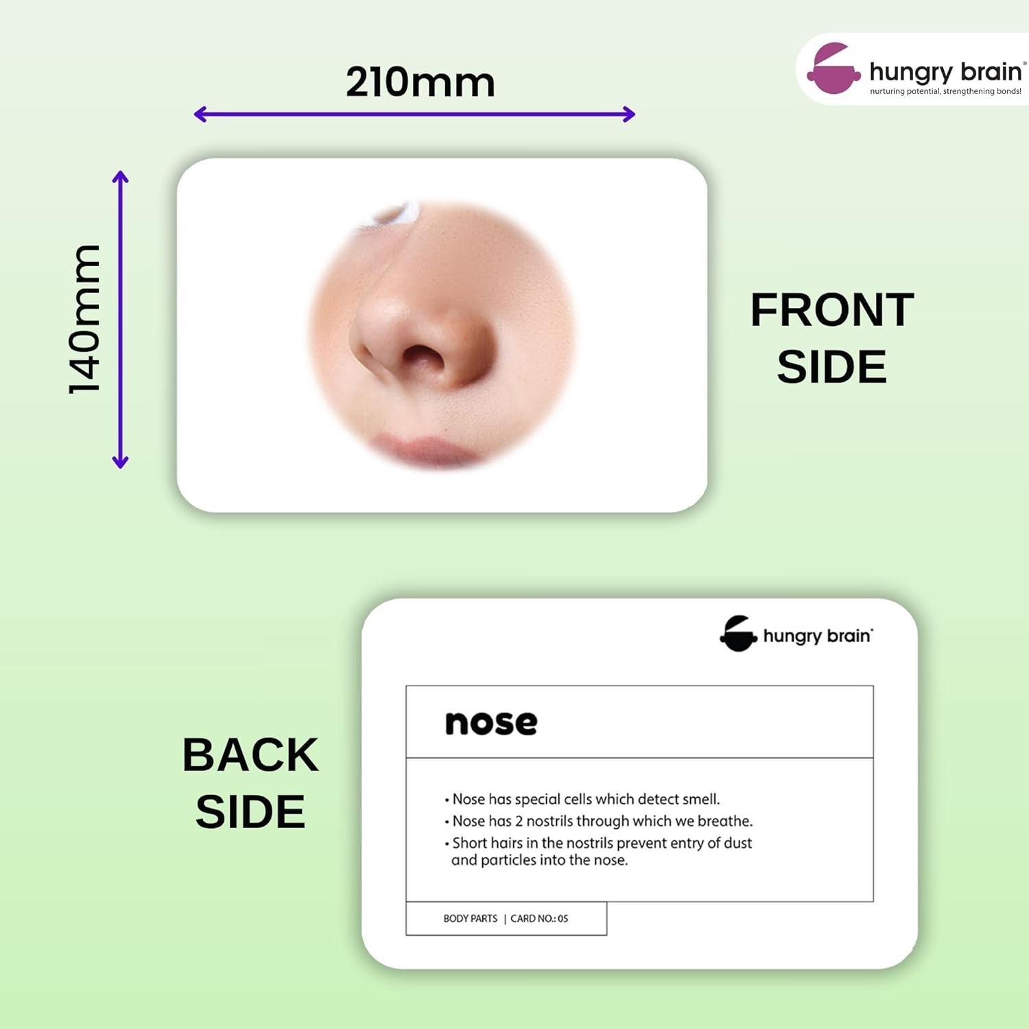 Hungry Brain Body Parts Flash Cards for Toddlers & Babies | FREE SHIPPING