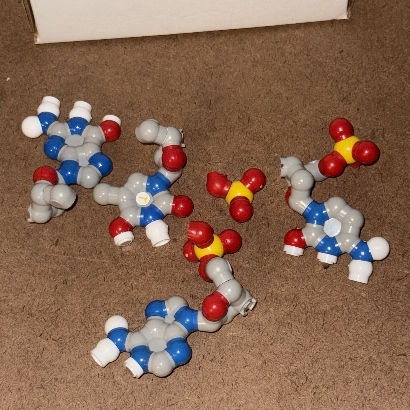 3D Molecular Designs The DNA Discovery Kit – 2 Base Pair Model Molecule Science