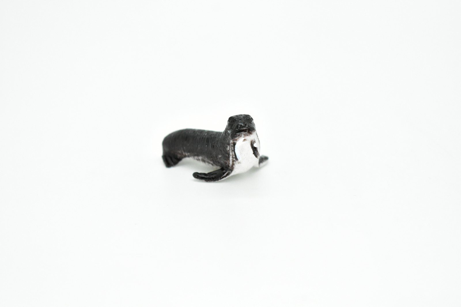 Walrus, Very Nice Plastic Replica 2″ ~ F0042-B123