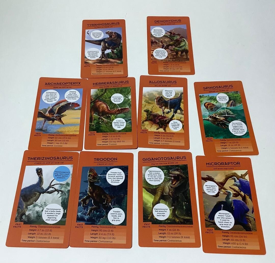 Set of 50 Dinosaur Information Travel Cards
