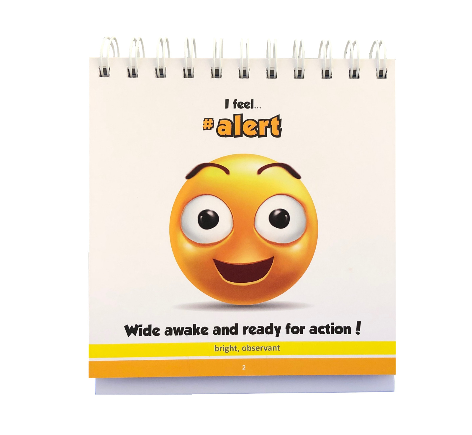 REAL FEELS Flip book of Feelings