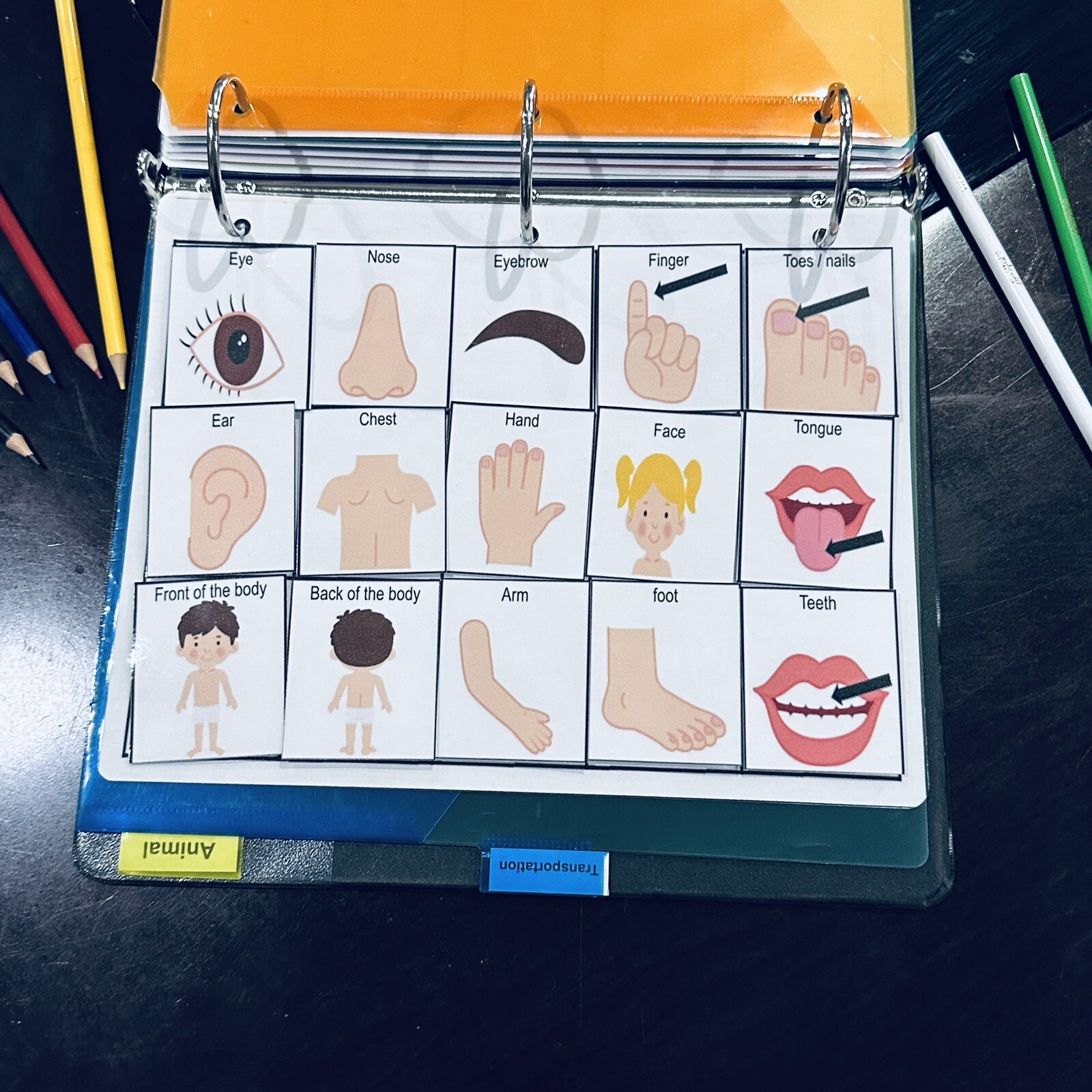 250 pictures for non verbal communication, therapy, gift idea teachers autism