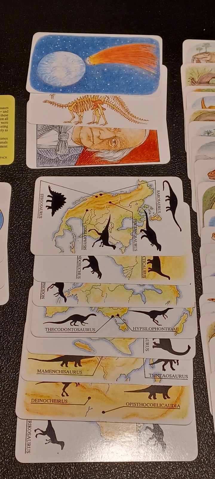 2 Sets / Vtg 60+ DINOSAURS Flash Cards Identification Cards Learning Teaching -Z