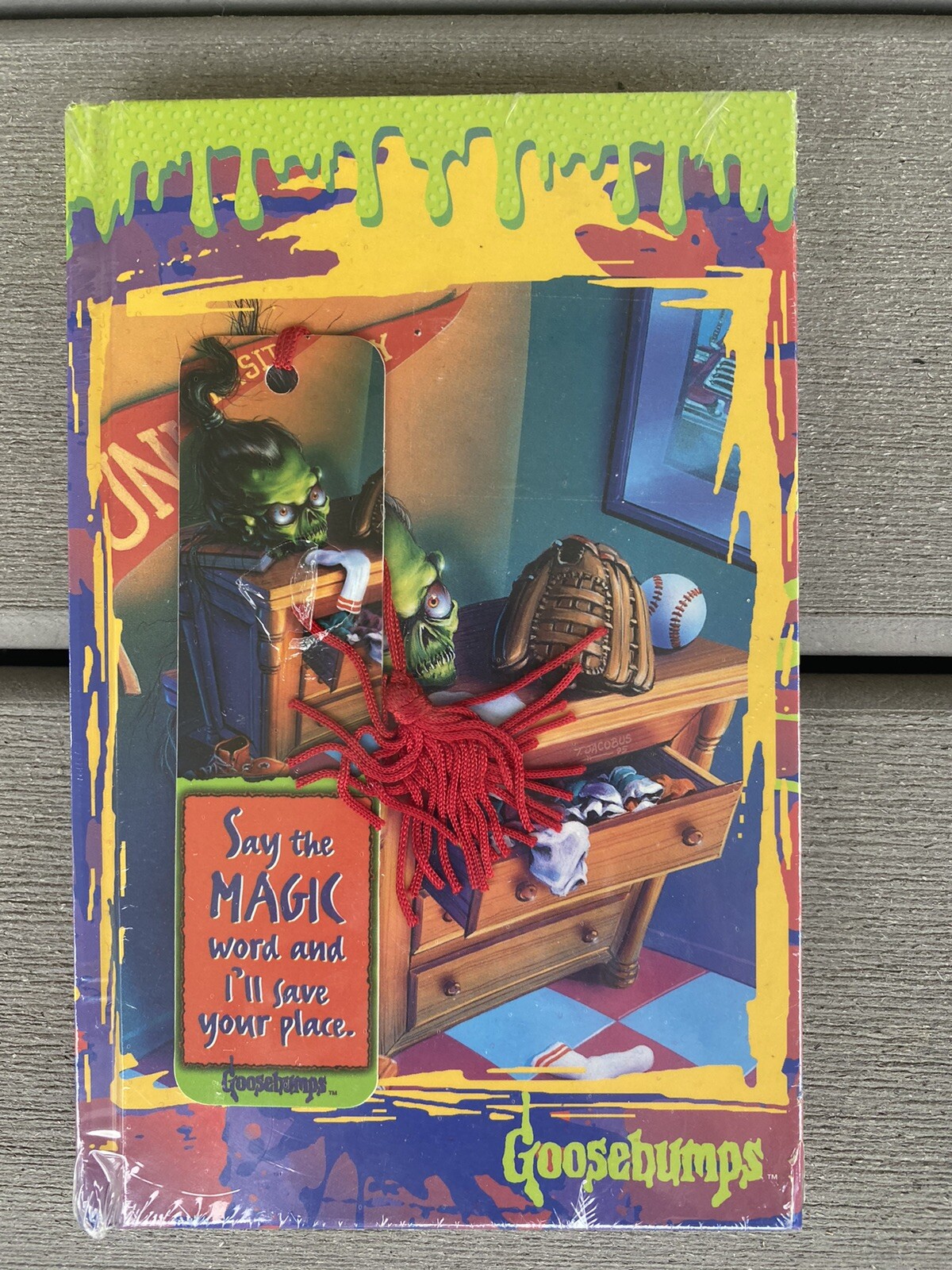 HUGE LOT Elf Shelf -Happy B’day,Goosebumps Hardcover Notebook,4 Book Jax,CT Doll