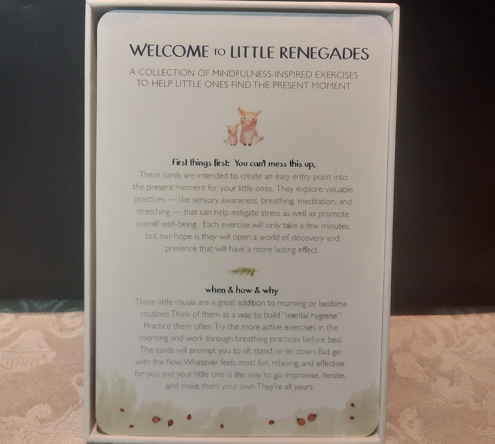 Little Renegades Mindful Kids Cards Everyday Exercises for Confidence & Joy EUC