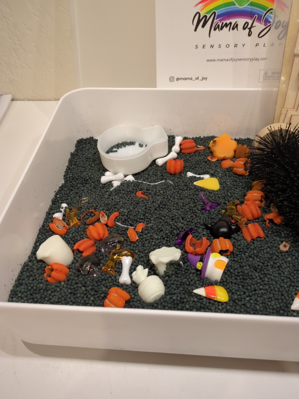 Mama Of Joy Sensory Play Halloween Set