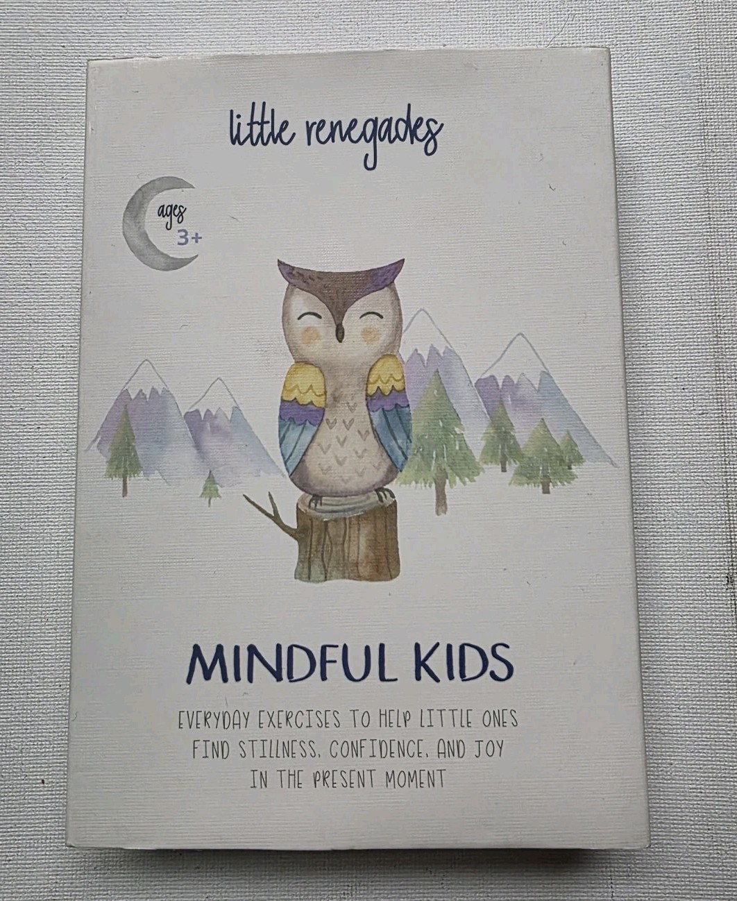 Little Renegades Mindful Kids Cards Everyday Exercises for Confidence & Joy