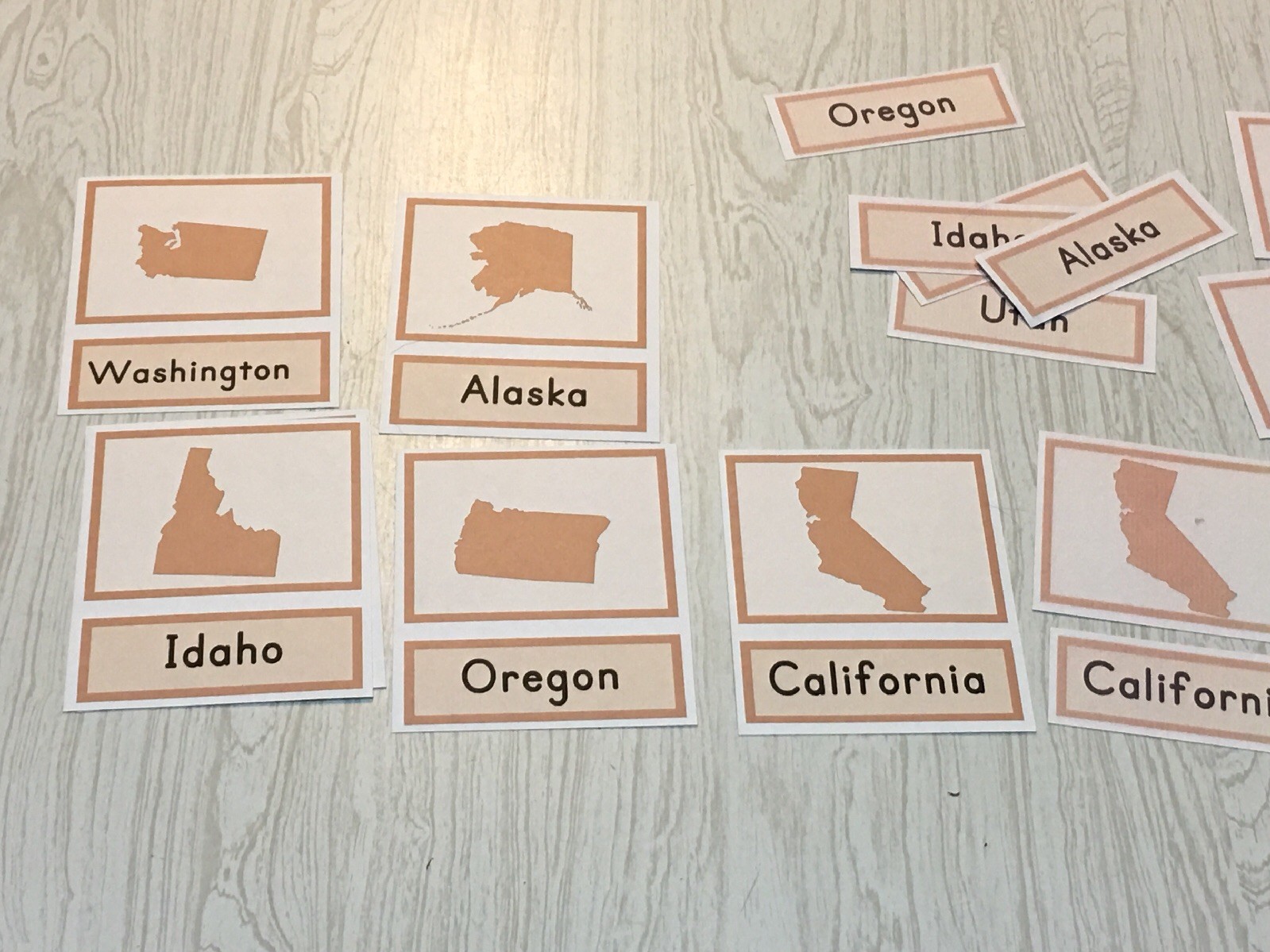 Identifying Fifty States – Three Part Cards – Montessori