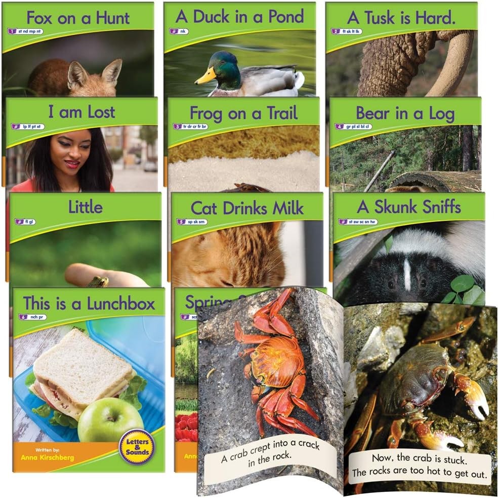 Junior Learning Blend Readers – Non-Fiction Learning Set