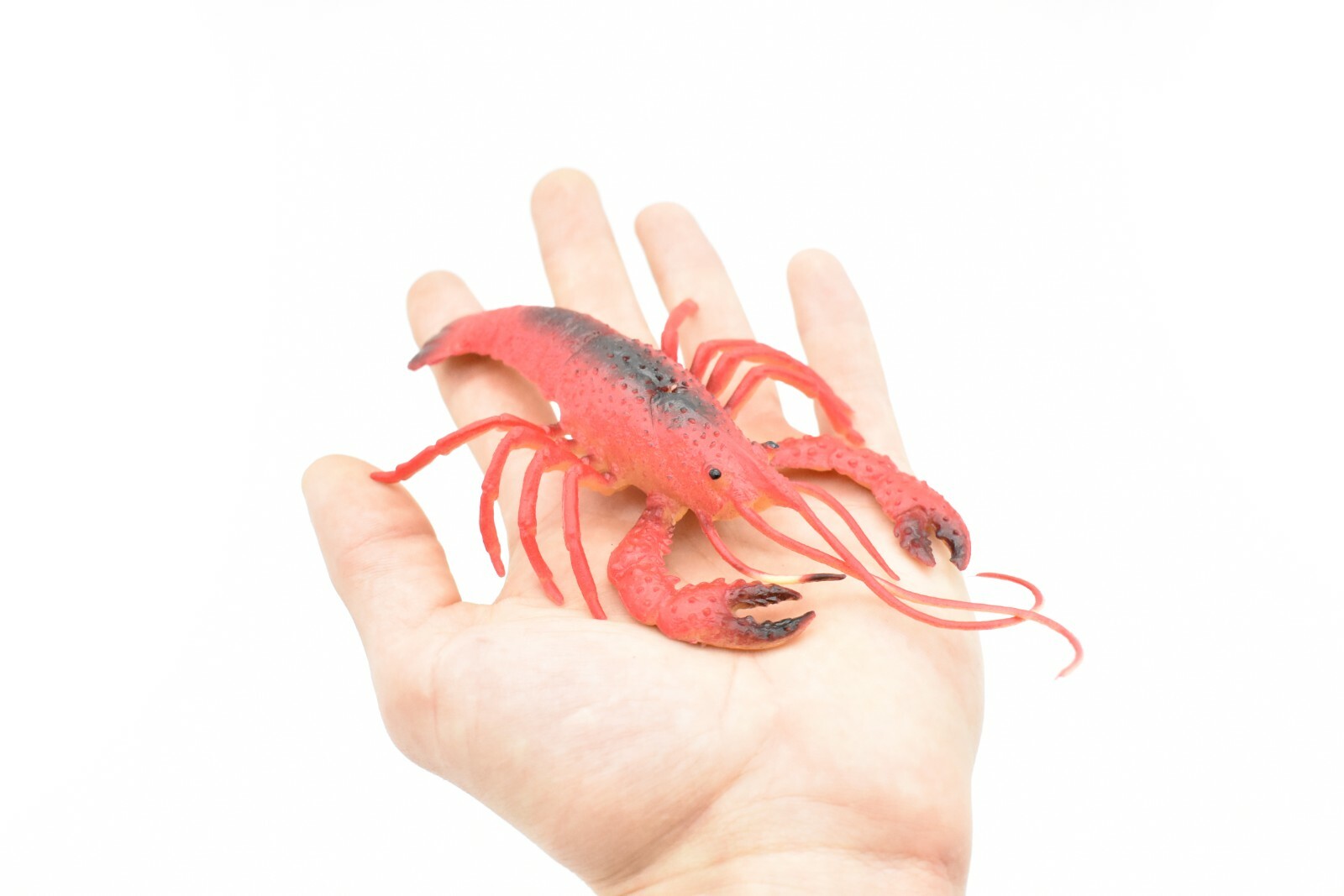 Crayfish, Crawdad, Lobster, Very Nice Plastic Replica, 7″ F1947B173