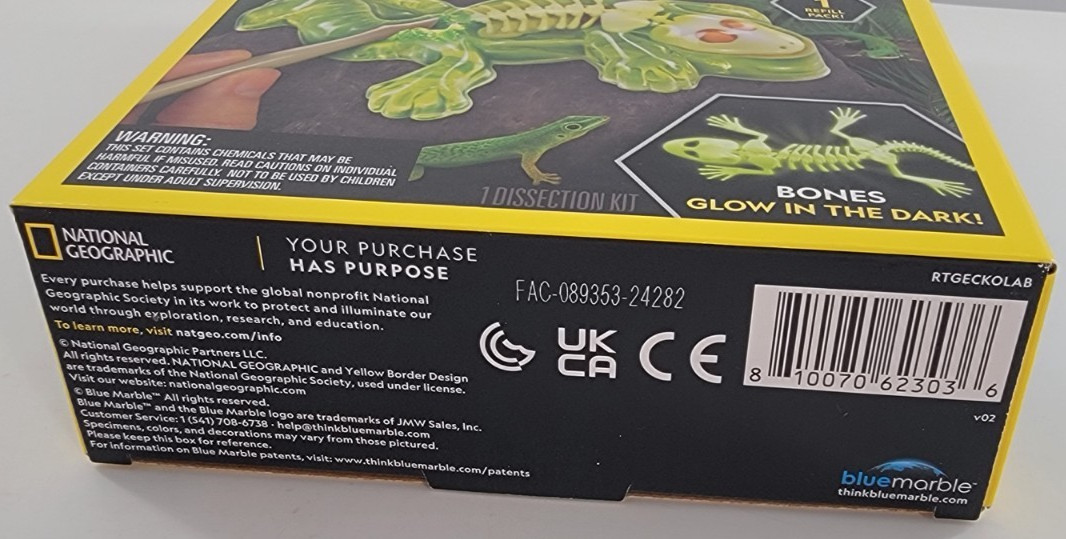 Blue Marble National Geographic Glow-in-the-Dark Gecko Dissection Lab
