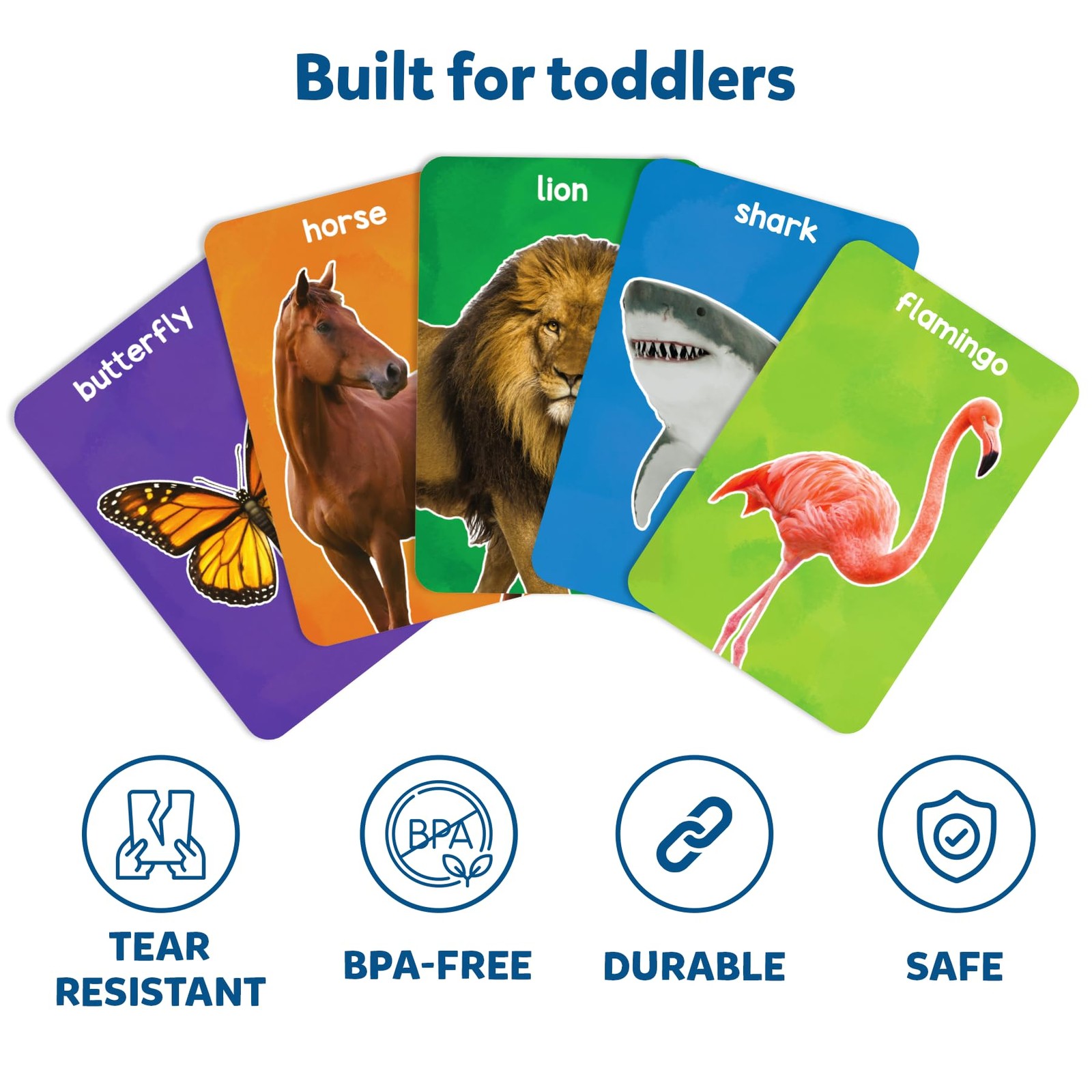 Multicolor Animal Flash Cards For Toddlers Educational Learning Fun 50 Cards