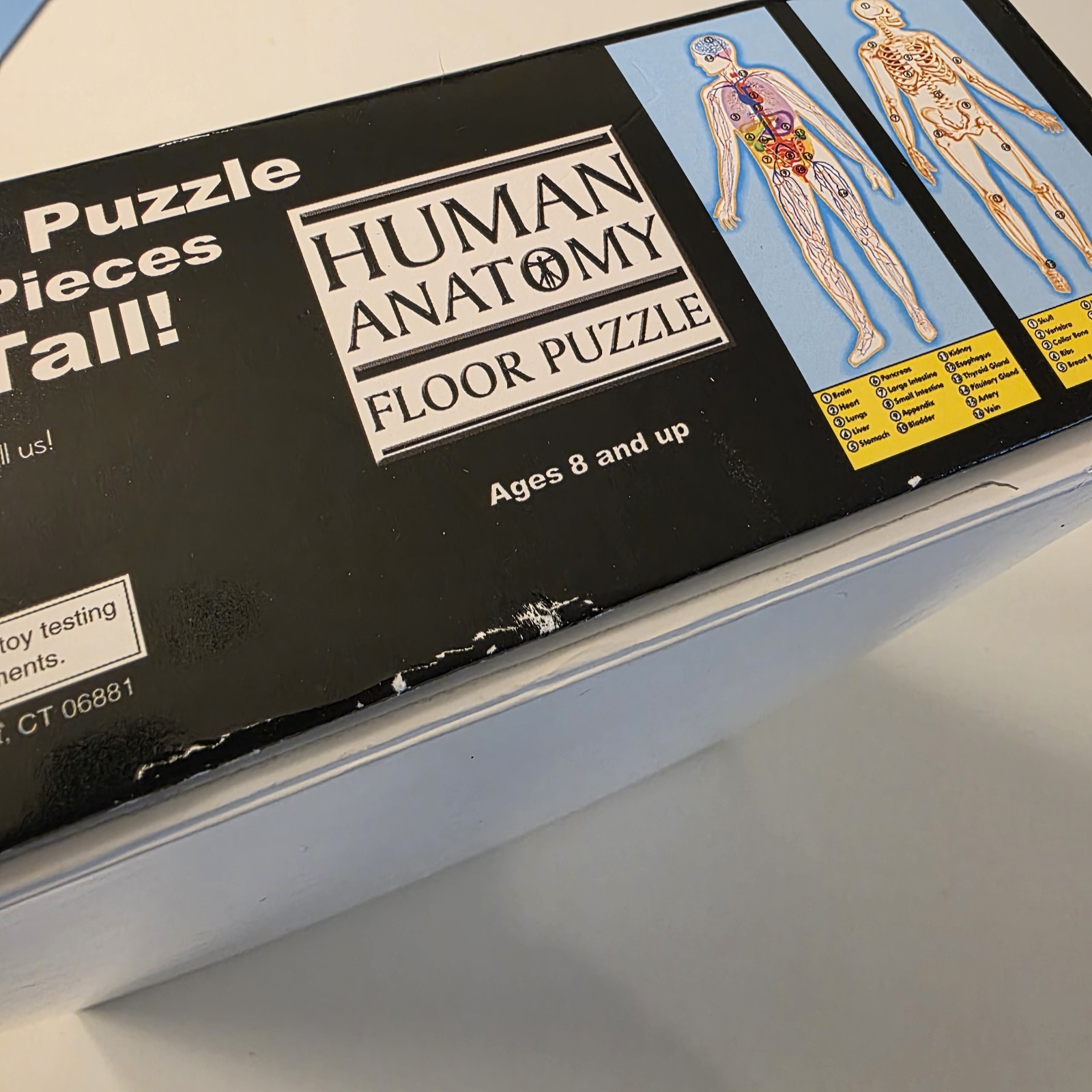 Melissa & Doug Human Anatomy 4’ Floor Puzzle #445 100 Pieces Complete