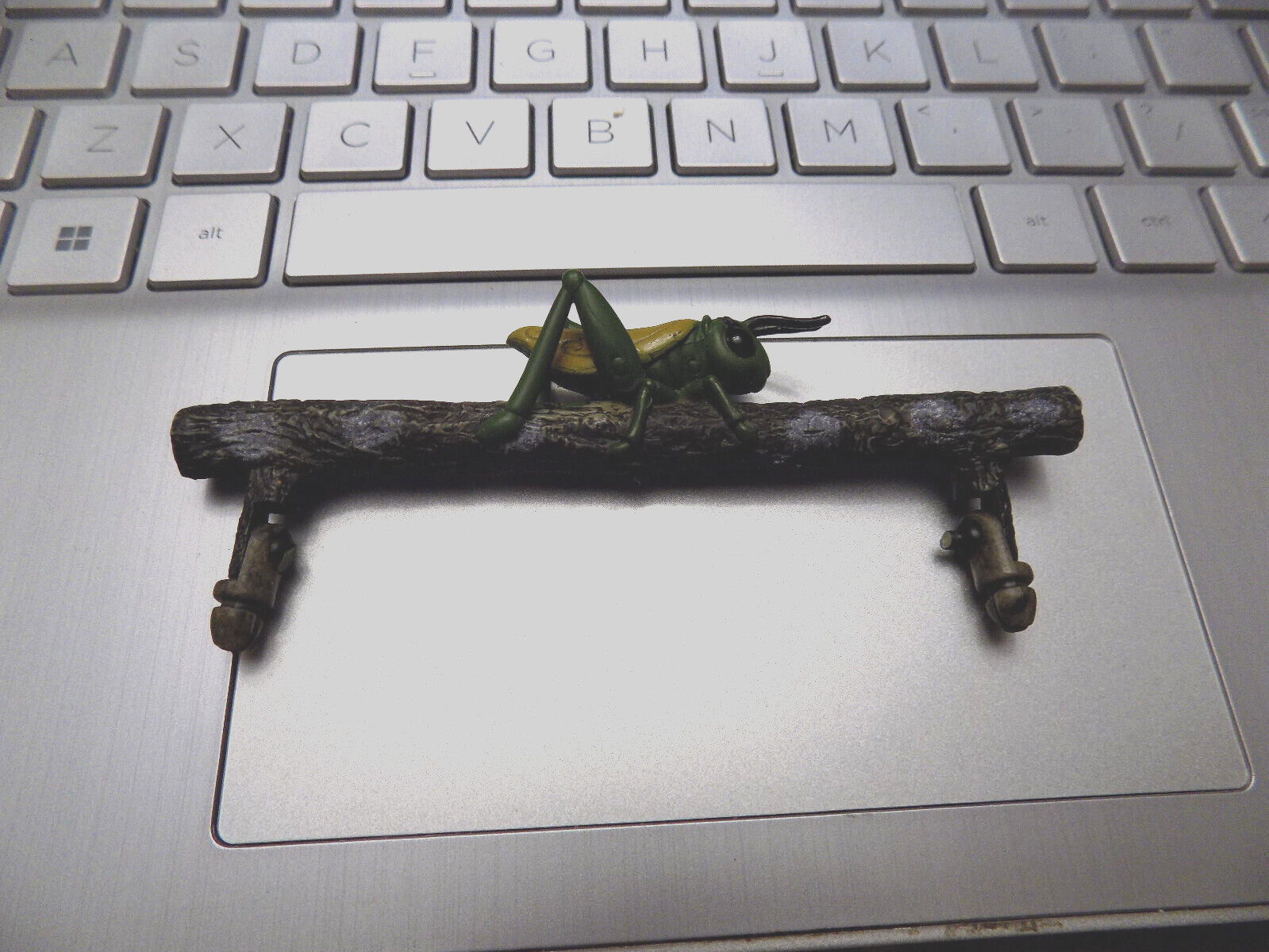 Cricket Bug on Branch Replacement Piece Figure Model Replica Realistic Diorama