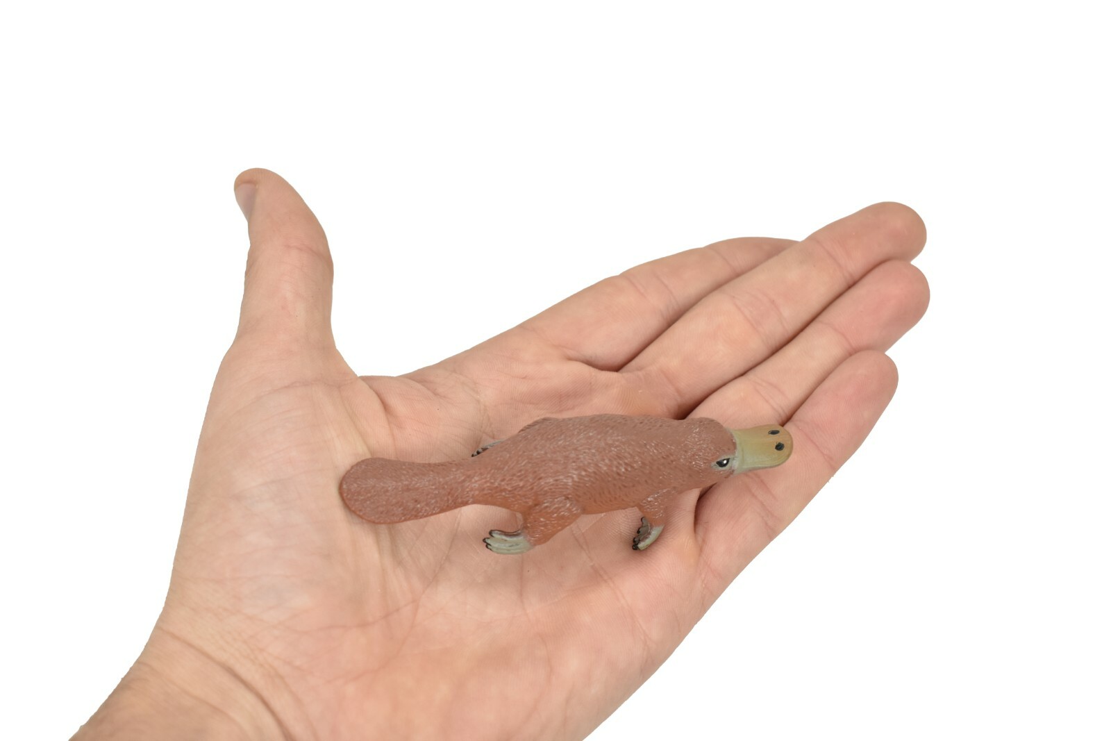 Platypus, ~ Very Nice Plastic Replica 3 1/2″ ~ F1091-B170