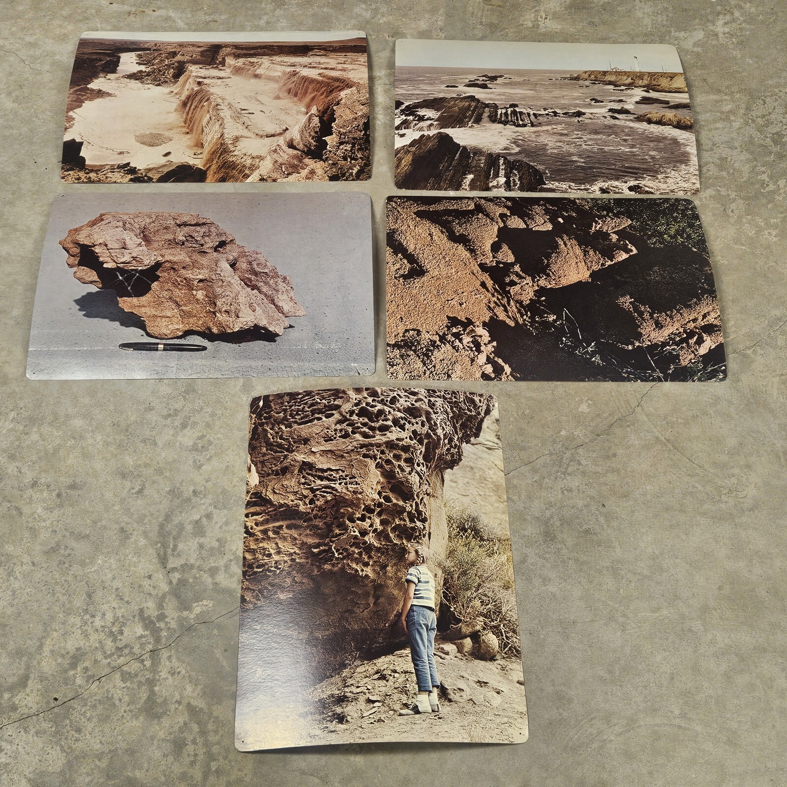 28 1960’s Educational Aids 18″x13″ Cards Erosion Fruit Farming Weather Butterfly