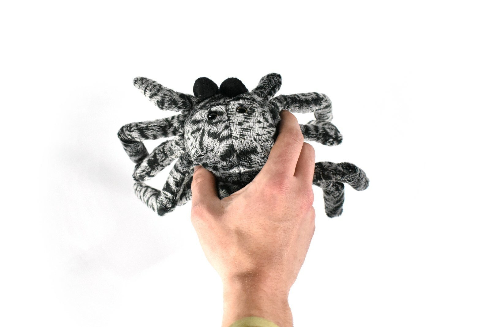 Spider, Tarantula, Stuffed Insect, Educational, Plush Realistic Figure 12″ F1344