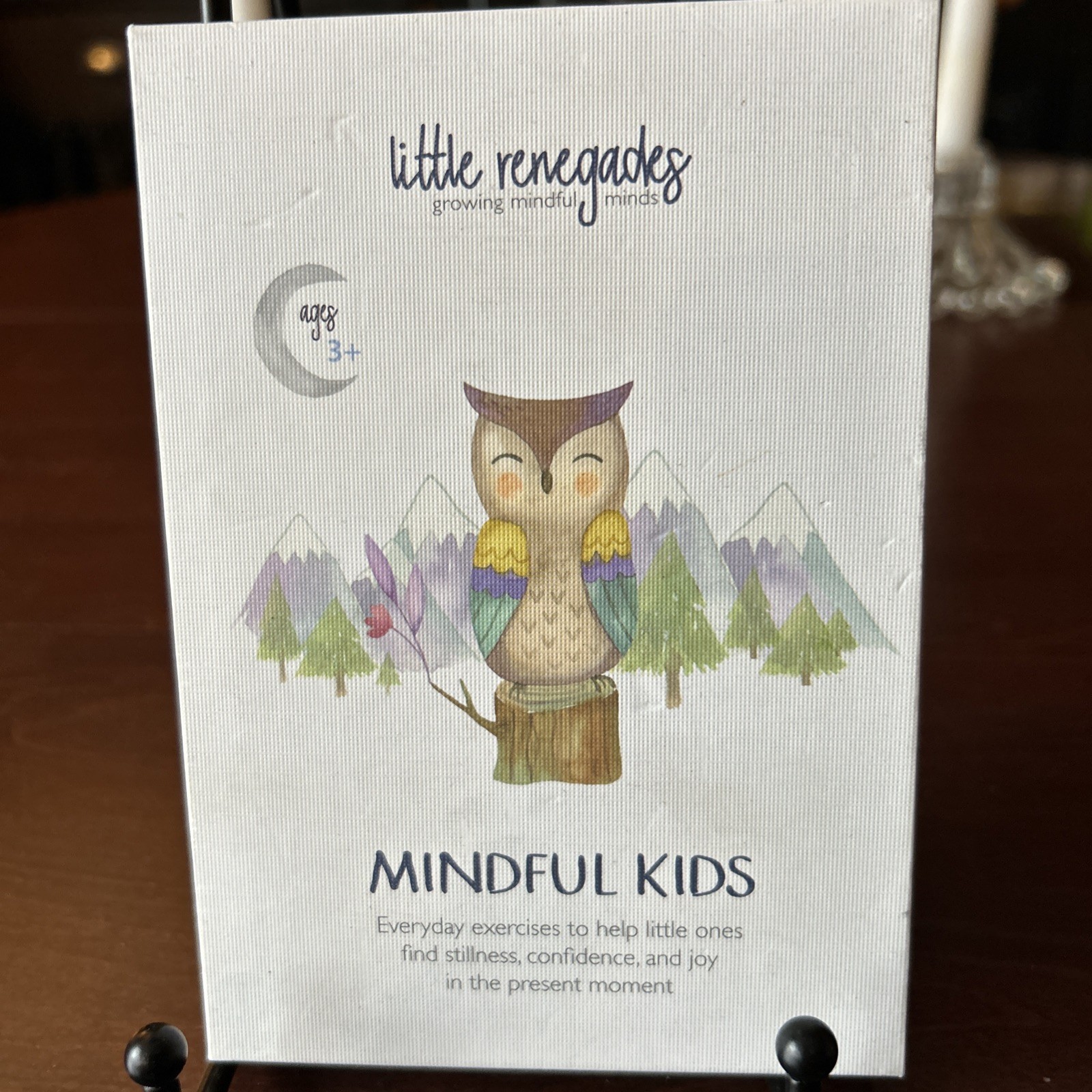 Little Renegades Mindful Kids Cards, Everyday Exercises, Mindfulness, Stillness