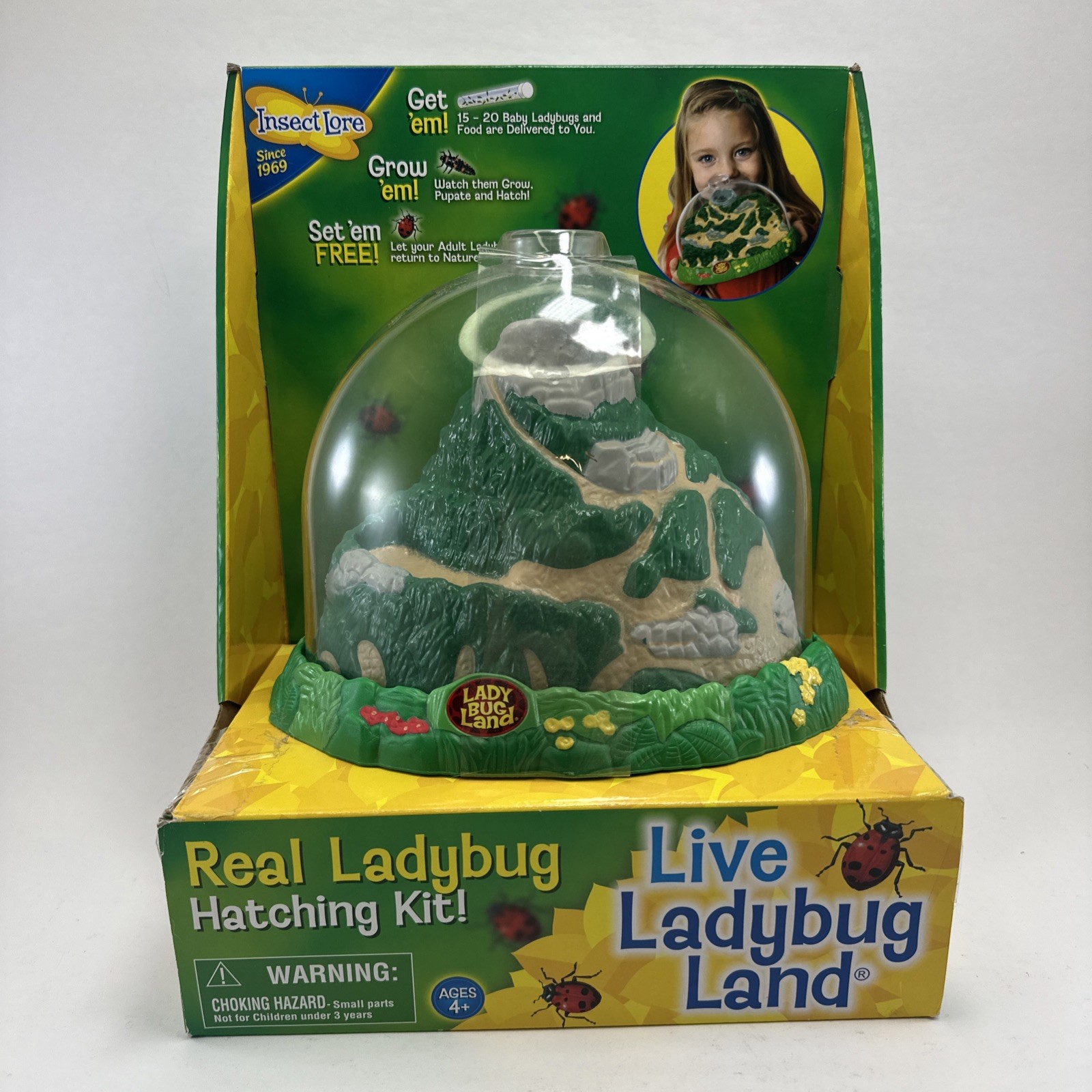 Insect Lore Real Ladybug Hatching Kit Live Ladybug Land 2100 New