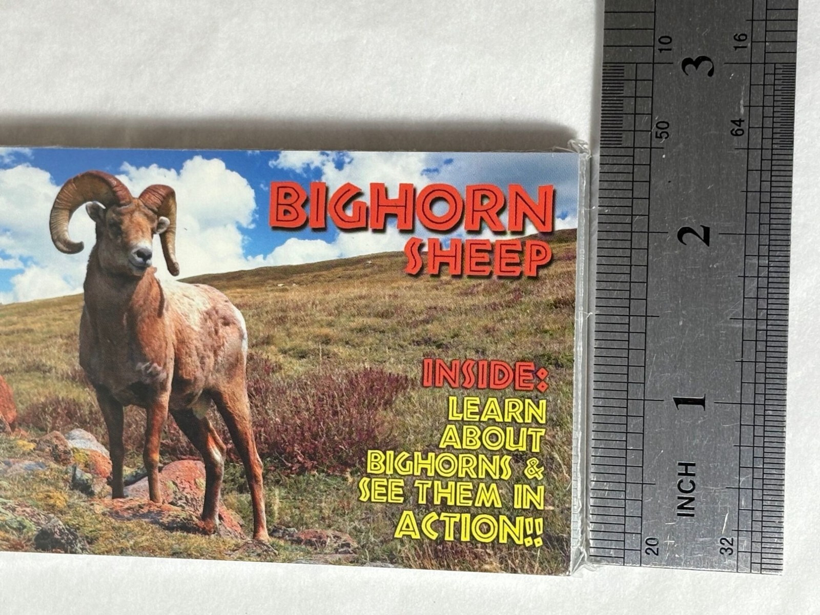 Bighorn Sheep Flipbook By Flipworkz – See Bighorns In Action, Learning Cards