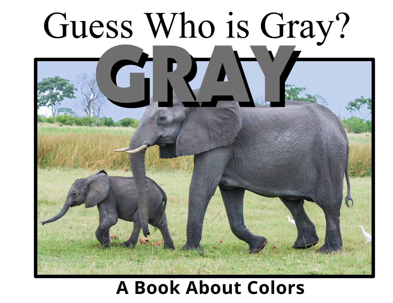Colors Series – 6 Book Set | LEARNING COLORS | Spiral Bound Picture Book SET 2