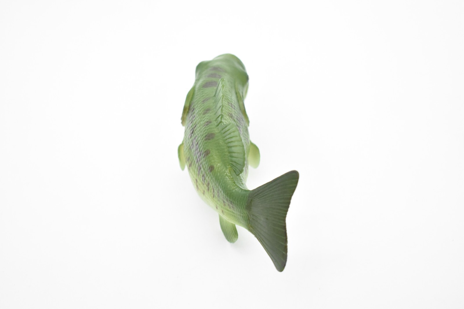 Largemouth Bass, Fish, Realistic Rubber Model, Hand Painted Toy Figurine 6″