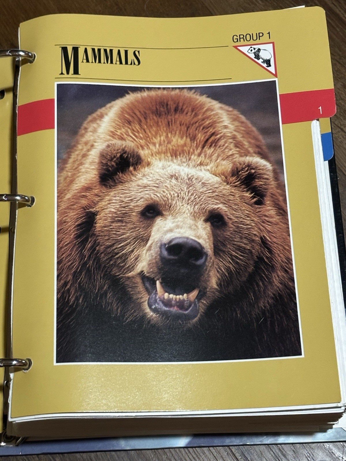 Wild Life Fact File Binders 1-11 Groups Home School Animal Identification