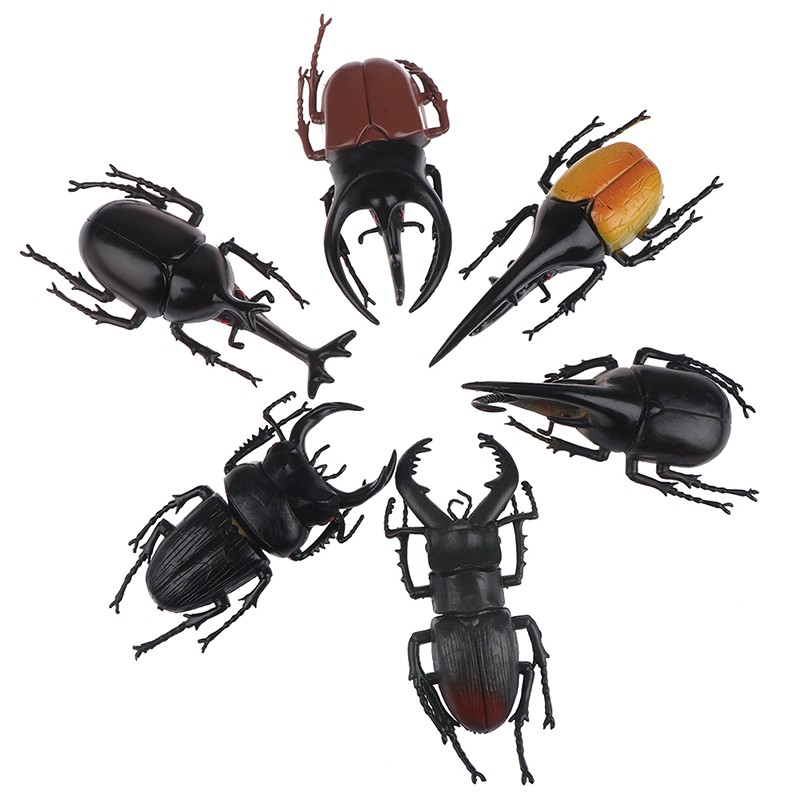 Simulation beetle Toys Special Lifelike Model insect Toy teaching aids joke QH