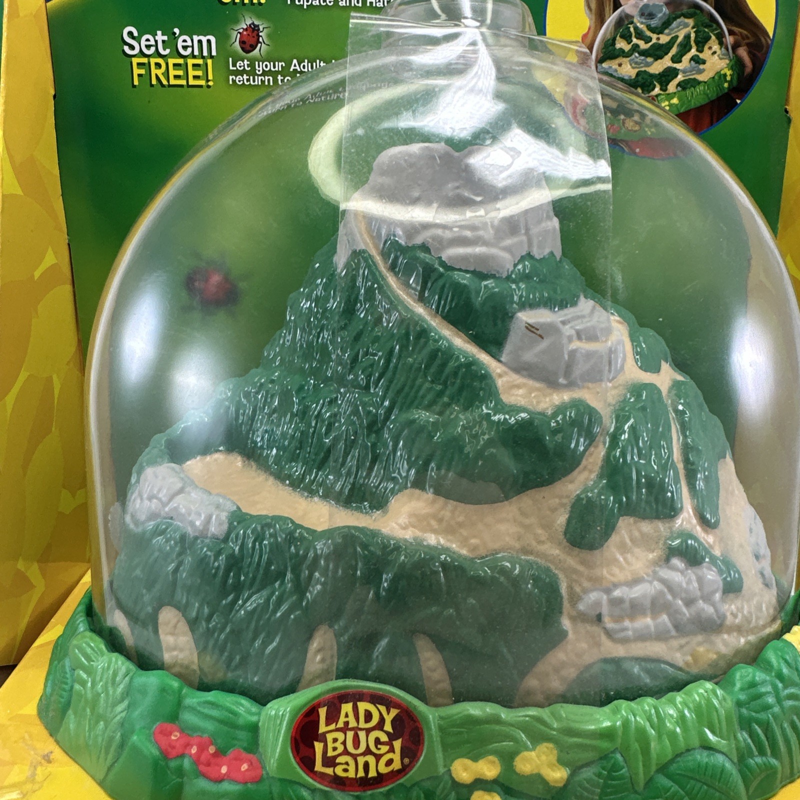 Insect Lore Real Ladybug Hatching Kit Live Ladybug Land 2100 New