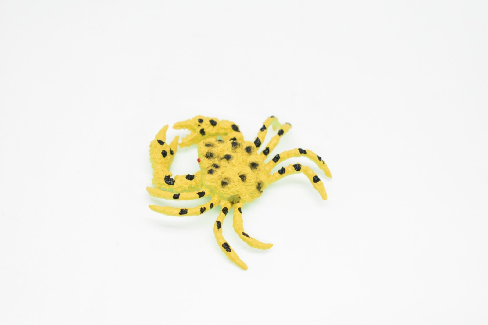 Yellow Crab, Spotted, Realistic Plastic Model Toy Replica 2″ CWG139 BB28