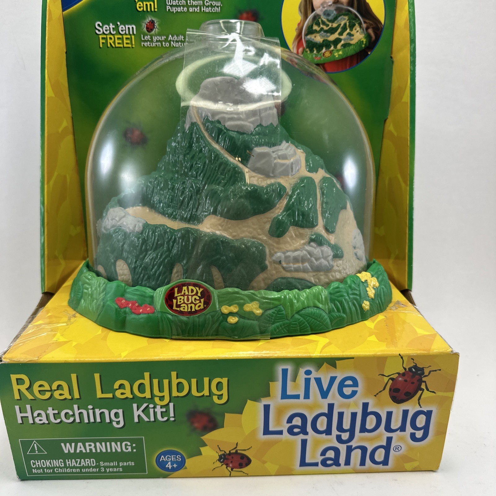 Insect Lore Real Ladybug Hatching Kit Live Ladybug Land 2100 New