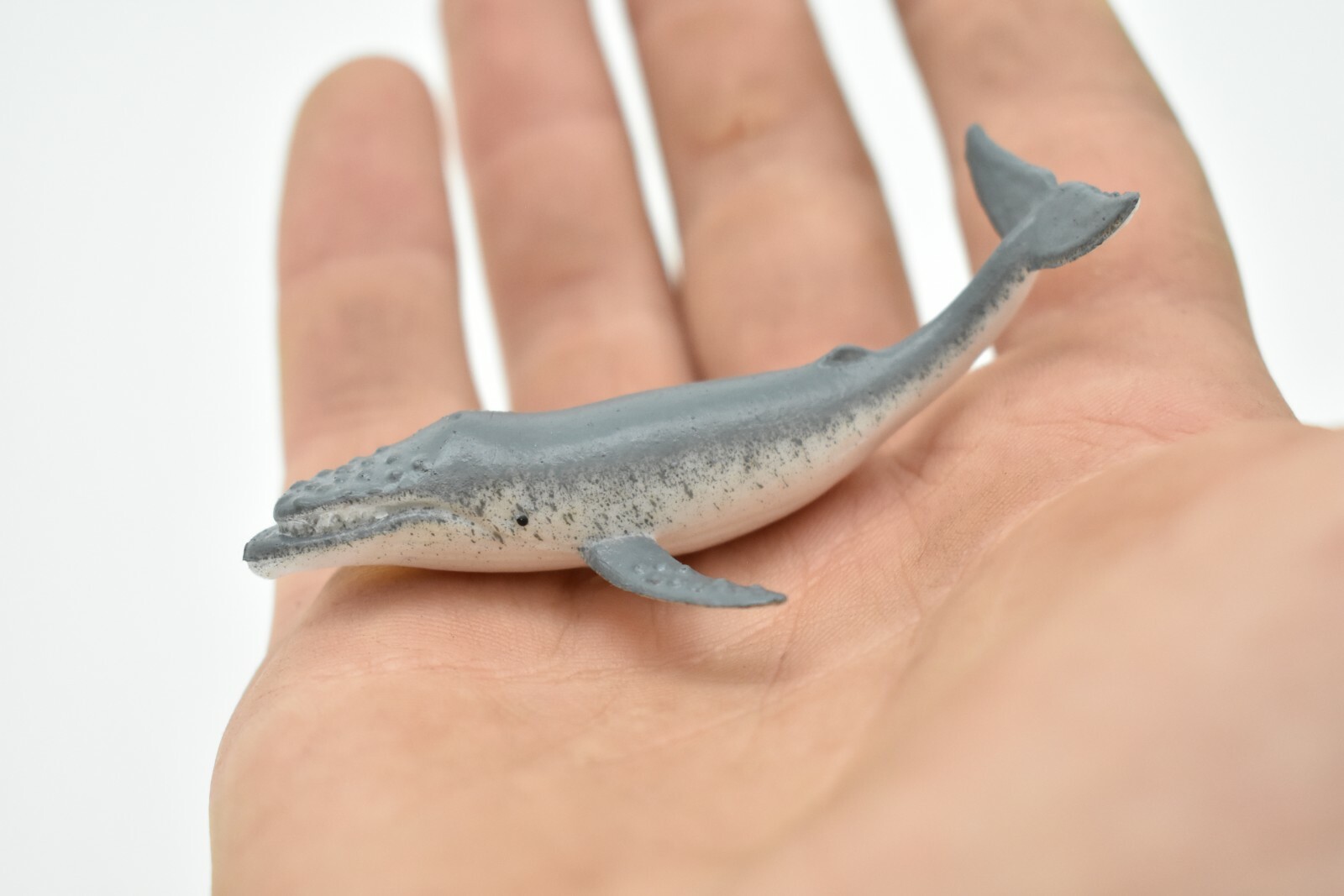 Humpback Whale, Very Nice Plastic Replica 3″ – F222 B36