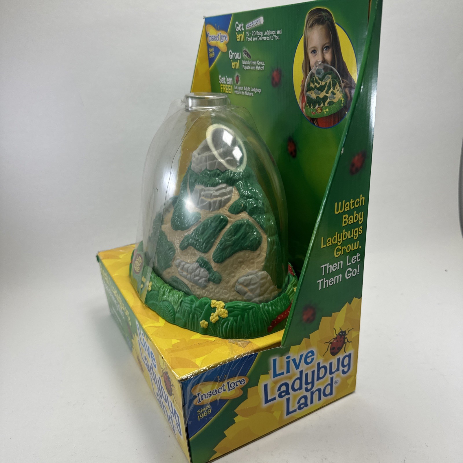Insect Lore Real Ladybug Hatching Kit Live Ladybug Land 2100 New