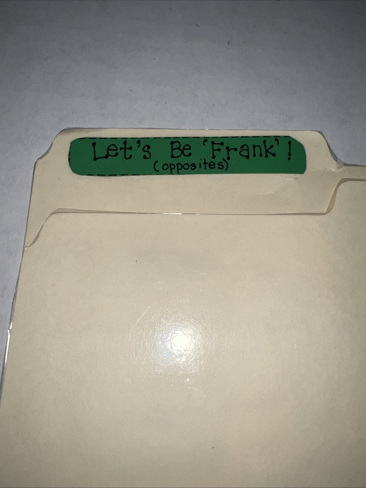 Let’s Be Frank Grades K-1 Teacher Made File Folder Game Opposites