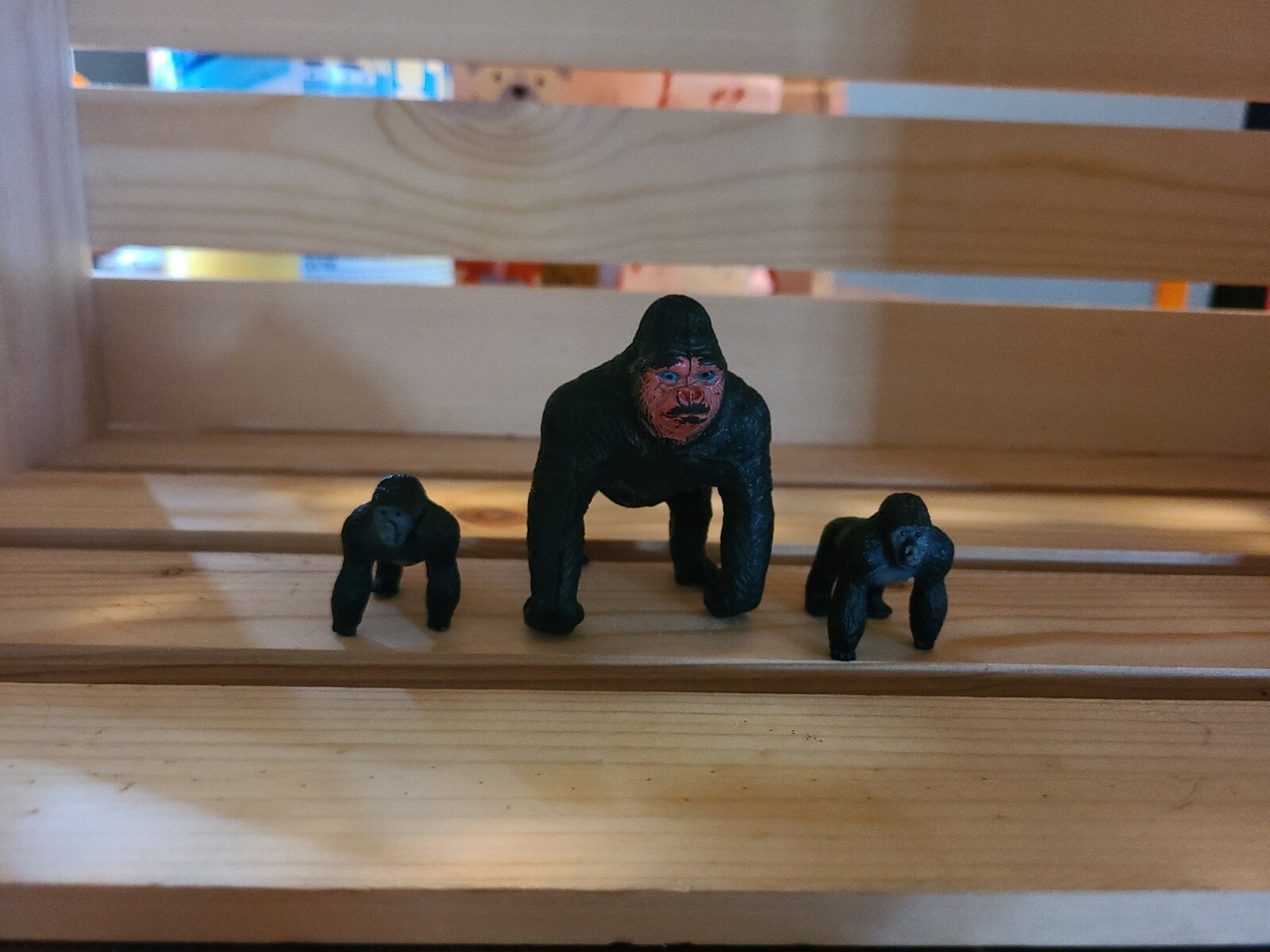 Gorillas Bundle