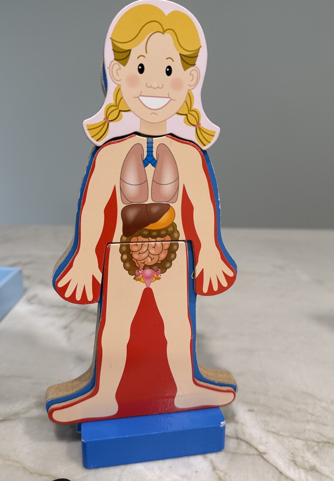 Melissa & Doug Magnetic Human Body Anatomy Play Set 23 Magnetic Pieces & Tray