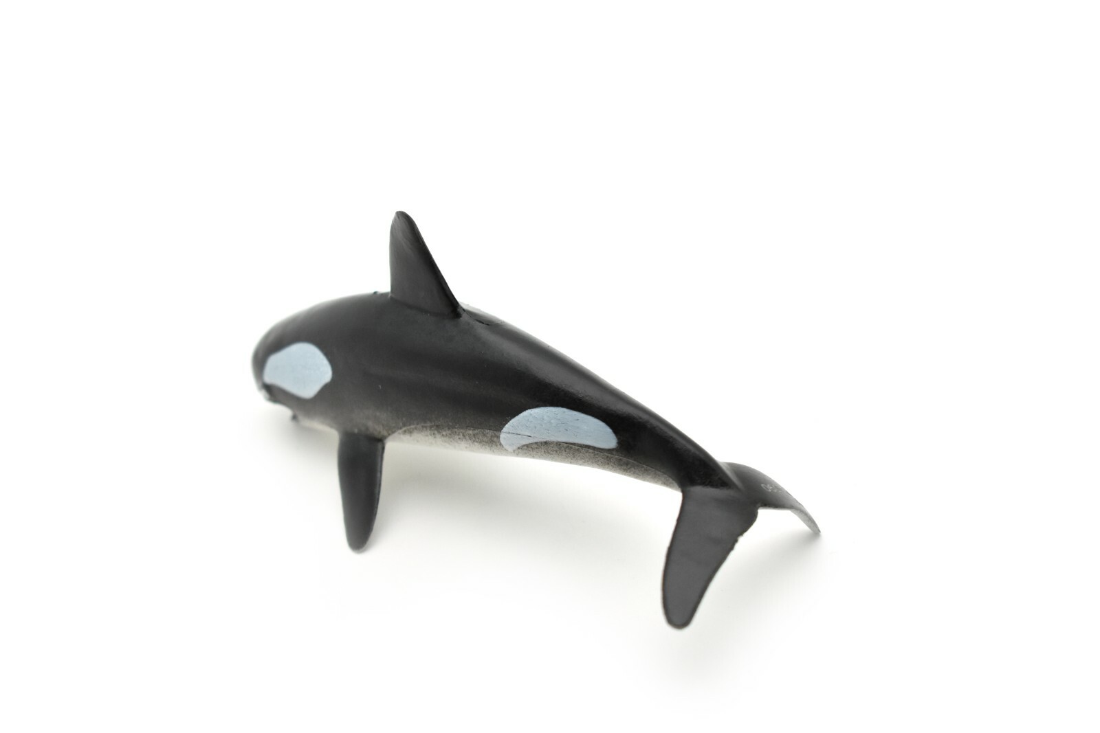 Orca, Killer Whale, Hollow Rubber Replica 5″ Long ~ F0020-B22