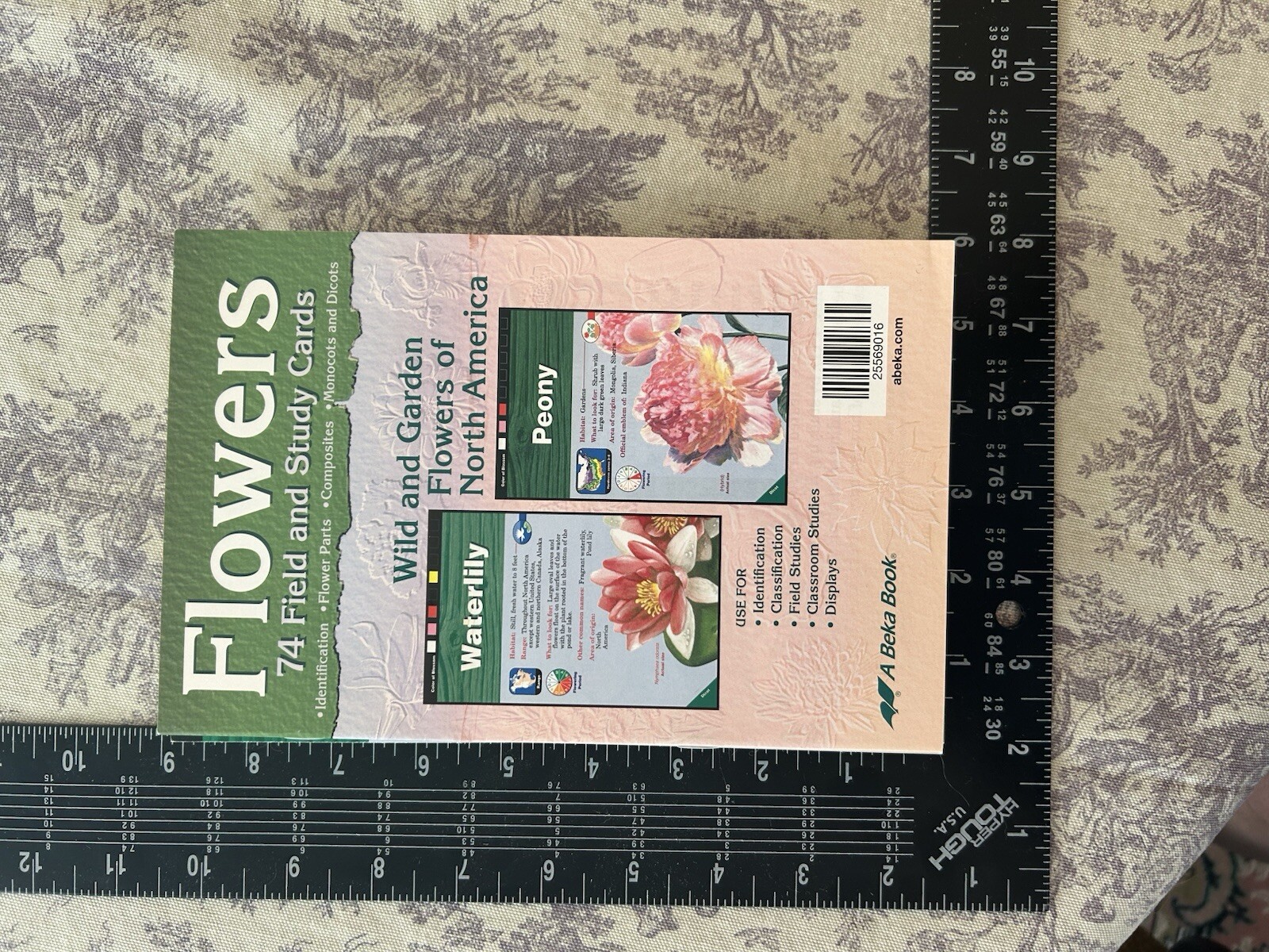 HUGE LOT A Beka Flashcards Multiplication Division Insects Flowers One-Vowel