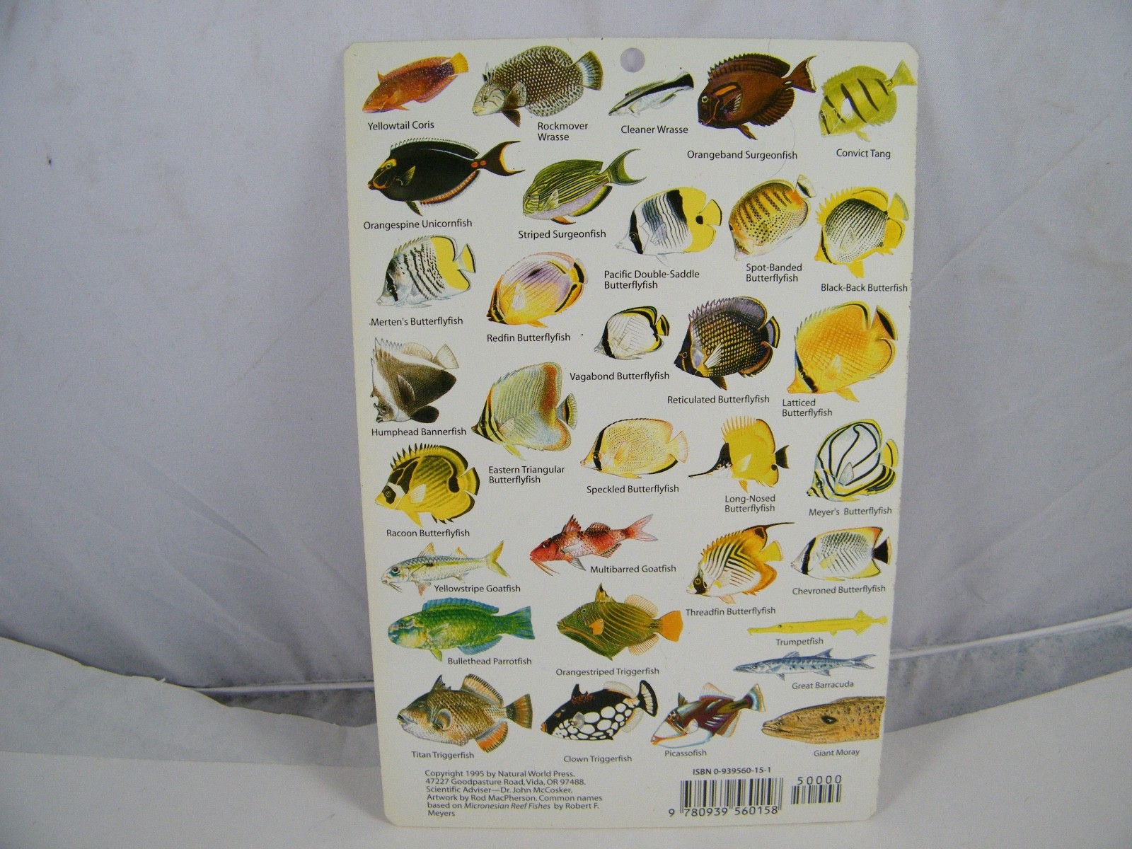 4 FISH GUIDE CARDS NETHERLANDS ANTILLES, MICRONESIA, W CENTRAL PACIFIC, PACIFIC