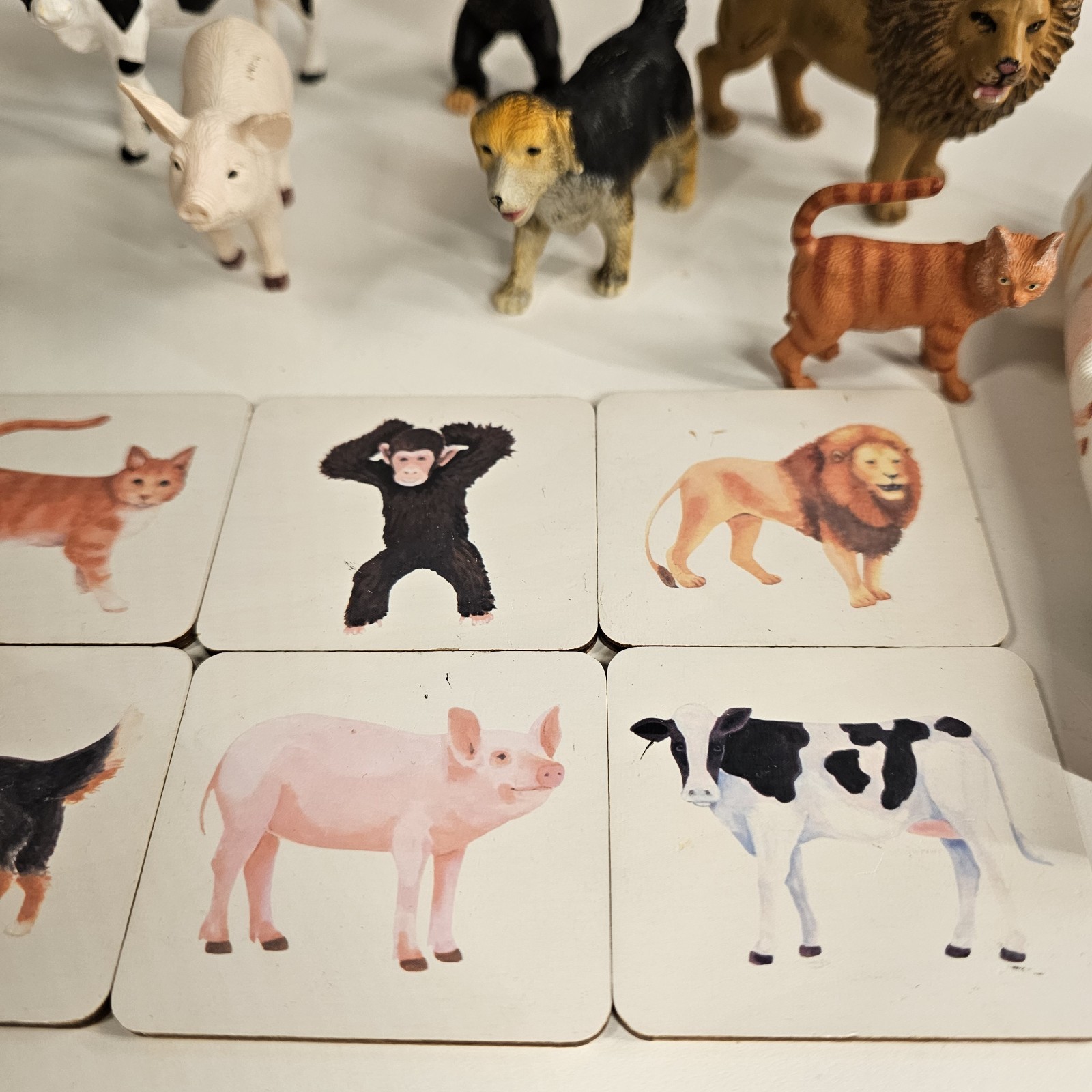 Montessori Animal Matching Game Figures & Flash Cards Sensory Learning Toy